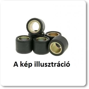 Variátor görgő 15x12x5,5 vicma Variátor görgő 15x12x5,5 vicma