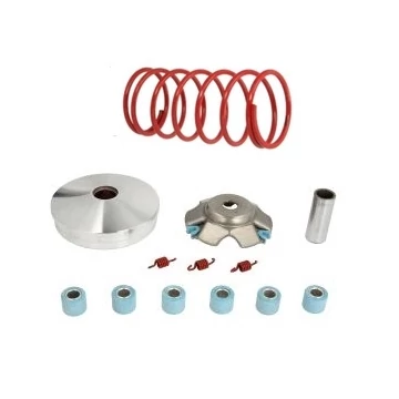 Variátor 2T Piaggio, Gilera 