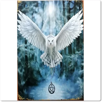 fémtábla 20x30 Hóbagoly fémtábla 20x30 Hóbagoly