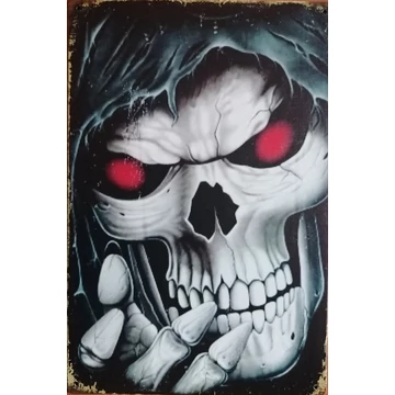 Fémtábla 20x30 Skull
