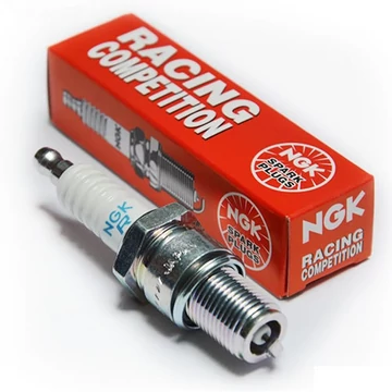 NGK B10EG