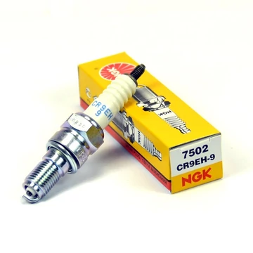 NGK CR9EH-9 /U27FER9