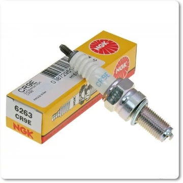 NGK CR9E