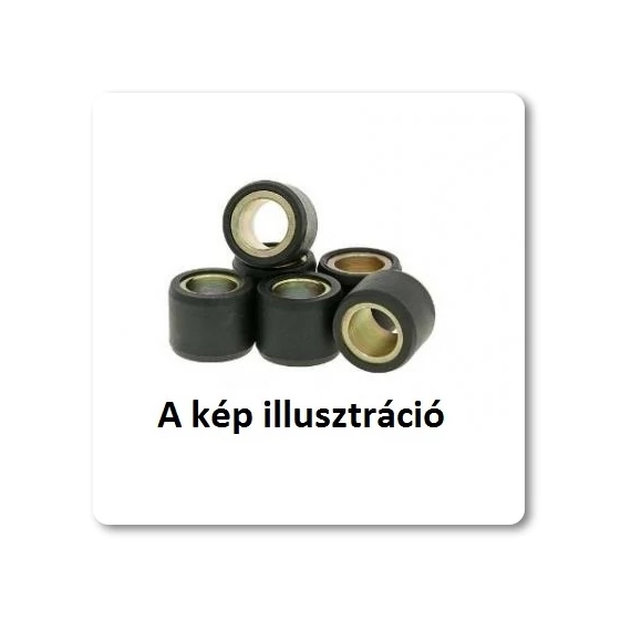 Variátor görgő 15x12x5,5 vicma